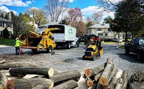 Best Weed Control  in Sand Ridge, NY