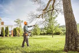 Best Firewood Processing and Delivery  in Sand Ridge, NY