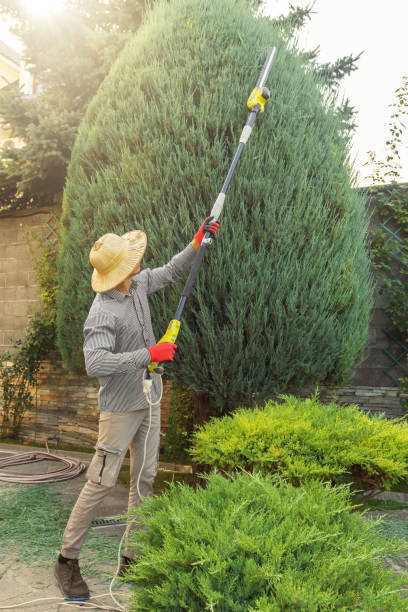 Best Landscape Design and Installation  in Sand Ridge, NY
